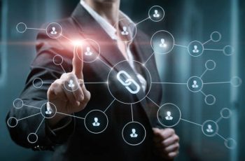 consultant netlinking