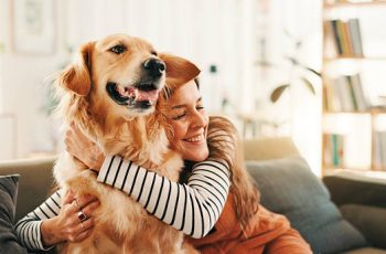 mutuelle chien